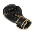 pol_pl_Rekawice-bokserskie-10oz-Aureos-seria-Valor-2178_12.webp