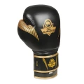 pol_pl_Rekawice-bokserskie-10oz-Aureos-seria-Valor-2178_8.webp