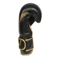 pol_pl_Rekawice-bokserskie-10oz-Aureos-seria-Valor-2178_5.webp
