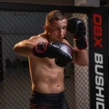 pol_pl_Rekawice-bokserskie-10oz-Ninja-Legacy-Series-267_16.webp