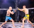 pol_pl_Rekawice-MMA-sparingowe-S-M-Undefeated-Valor-Series-1717_3.webp