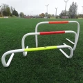 płotek-samowstający-koordynacyjny-20-cm (3).jpg