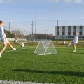 rebounder-podwójny-rama-z-siatką (4).jpg