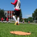 znaczniki-pola-płaskie-maty-znakujące-zestaw-20-szt-żółto-pomarańczowe (5).jpg
