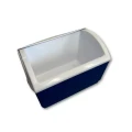 lodówka-przenośna-coolling-box-10-litrów (1).jpg