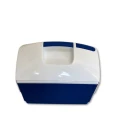 lodówka-przenośna-coolling-box-10-litrów (2).jpg