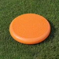 beret-stabilizacyjny-dysk-pompowany (1).jpg