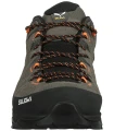 Alp Trainer 3.jpg