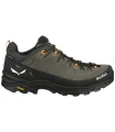 Alp Trainer 4.jpg