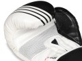 aka_pl_REKAWICE-BOKSERSKIE-SPARINGOWE-BUSHIDO-10oz-B-2v3-1385_9.jpg