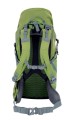 MENIC_Green_3.jpg