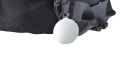 8.webp